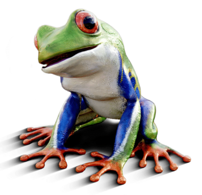 Frosch - Marketing-Übersetzungen